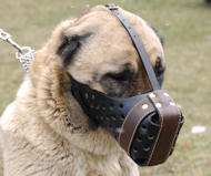 Agitation Muzzle,Police Leather Dog Muzzle For Anatolian Shepherd