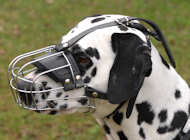 Dalmatian Wire Muzzle-Cage Basket Dog Muzzle