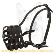 Basket Leather Muzzle for Medium Dog