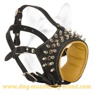 Perfect Looking Decorated Leather Muzzle for Medium breeds