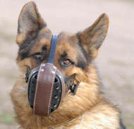 Heavy Duty Training Dog Muzzle