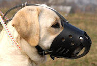 Leather Safety Dog Muzzle,No Bite,No Bark for Labrador Retriever