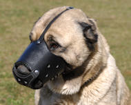 Leather Safety Dog Muzzle,No Bite,No Bark for Anatolian Shepherd