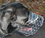 Mastiff Dog Wire Muzzle-Cage Basket Dog Muzzle Mastiff Dog Wire Muzzle-Cage Basket Dog Muzzle