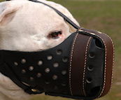 Agitation Muzzle,Police Leather Dog Muzzle For PitBull