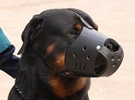 Leather Safety Dog Muzzle,No Bite,No Bark for Rottweiler