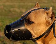 Leather Safety Dog Muzzle,No Bite,No Bark for Staffordshire Terr