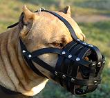 Basket Leather Dog Muzzle,No Bark Muzzle for Staffordshire Terri