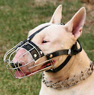 English Bull Terrier Wire Muzzle-Cage Basket Dog Muzzle