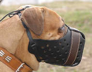 Full Grain Leather  Dog Muzzle