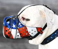 Glamorous handpainted muzzle for your pet
