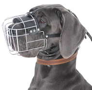Great Dane Wire Muzzle-Cage Basket Dog Muzzle