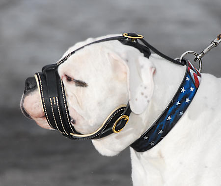 American bulldog Royal Nappa     Leather Dog Muzzle