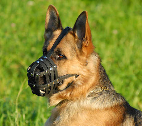 Basket muzzle for discount german shepherd
