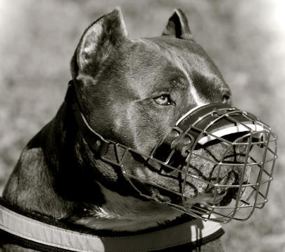 Pitbull-Wire-Basket-Dog-Muzzle-cage-muzzle