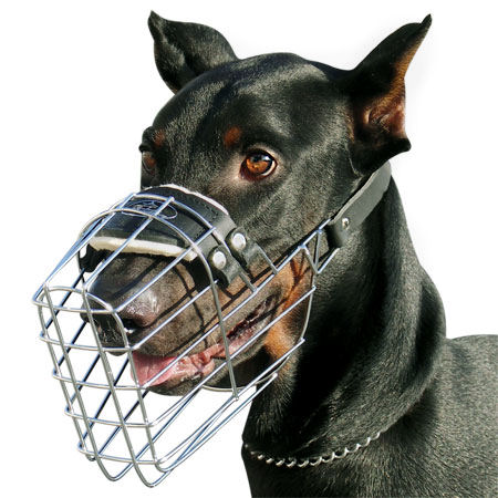 Doberman Wre Cage Dog Muzzle - Basket Dog Muzzle M9