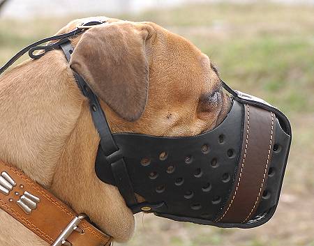 Leather dog muzzle "Dondi" -plise style For Bullmastiff-m55