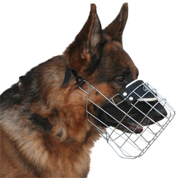 Padded muzzle sale