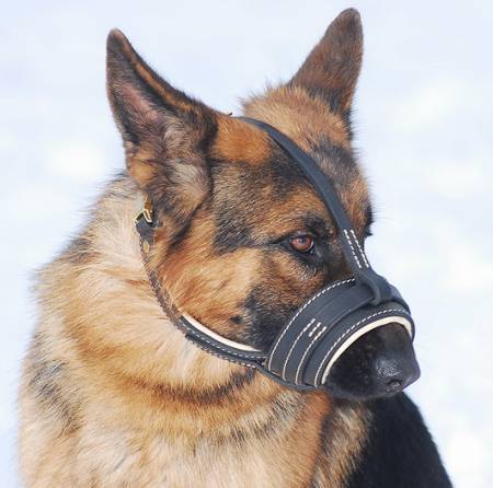 padded muzzle