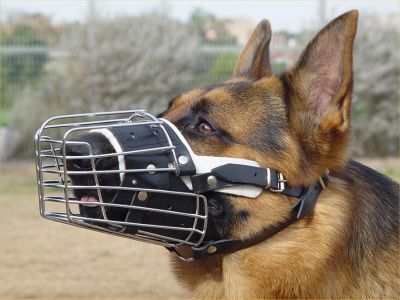 Full Padded Wire Basket Dog Muzzle for German Shepherd