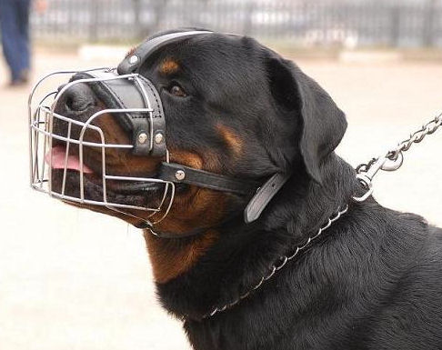 Rottweiler Wire Muzzle-Cage Basket Dog Muzzle