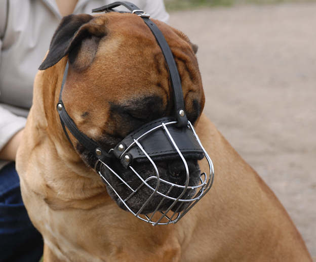 Bullmastiff Wire Muzzle-Cage Basket Dog Muzzle
