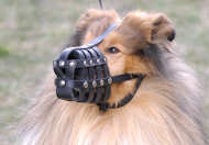 Basket Leather Dog Muzzle,No Bark Muzzle for Collie