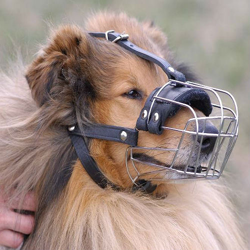 Collie Wire Muzzle-Cage Basket Dog Muzzle