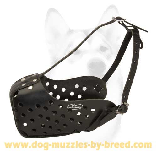 Leather Muzzle Suitable for daily use