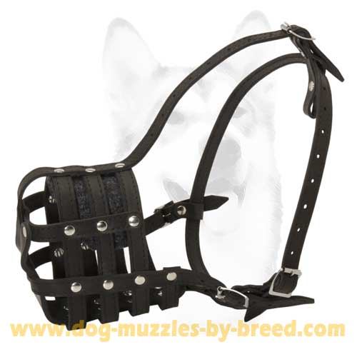 Snugly fitted leather dog muzzle