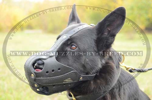Super strong well-fitting muzzle