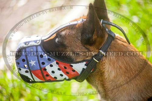 Sophisticated practical handpainted muzzle