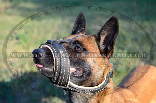 Stylish easy adjustable muzzle