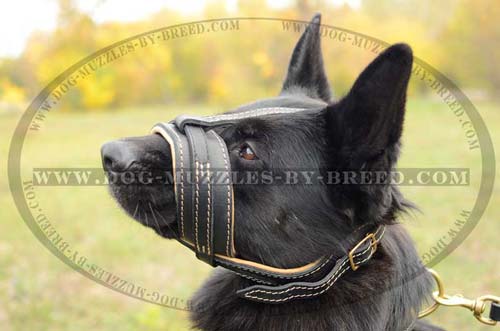 Quick released leather muzzle