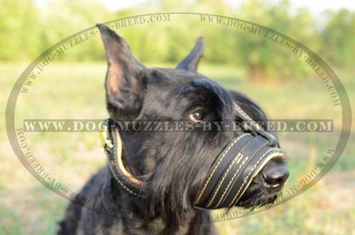 No biting leather muzzle