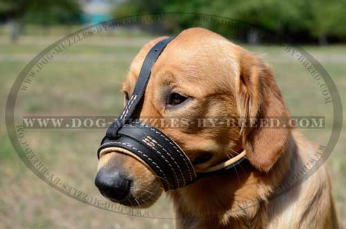 Well-fitting soft leather muzzle