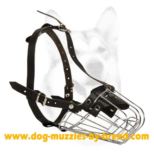Spacious wire basket muzzle