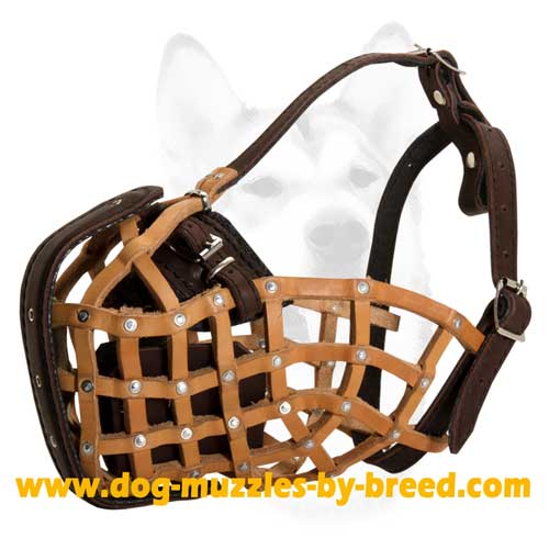 Basket-like leather Dog Muzzle