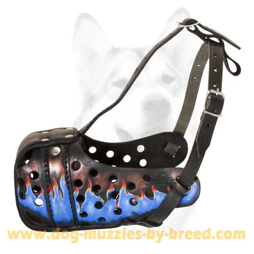 Super Comfortable Muzzle for training