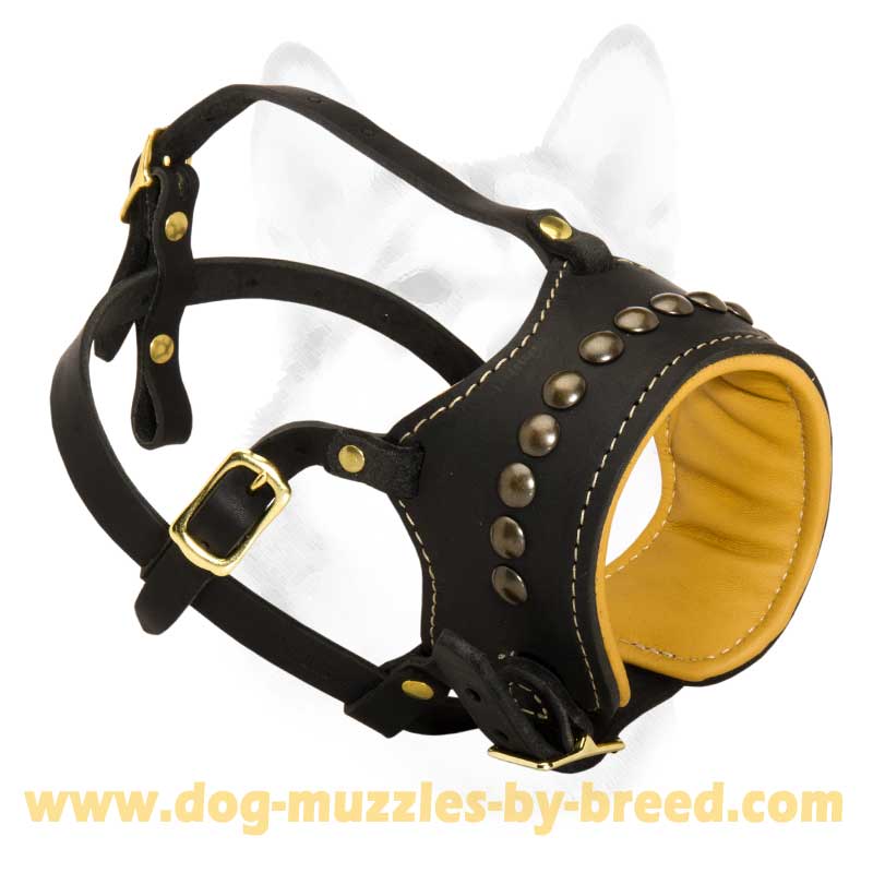 Muzzle safe hot sale