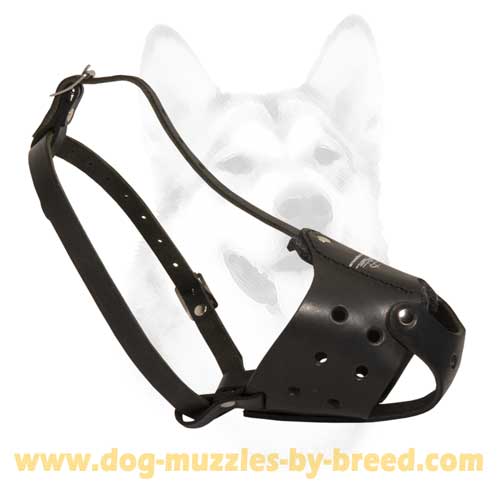 Muzzle with Sturdy metal fasteners