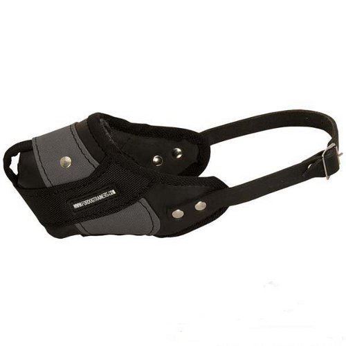 Durable dog muzzle for training and walking