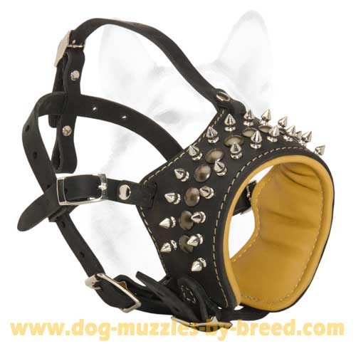 Impressive Spiked Dog Muzzle