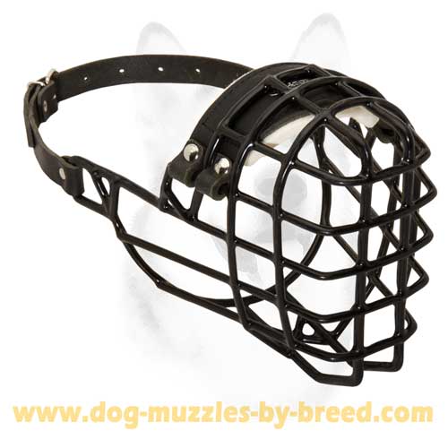 Highest quality Winter Dog Muzzle