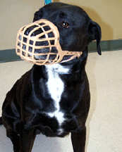 plastic basket dog muzzle