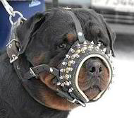 Royal Spiked Leather Dog Muzzle