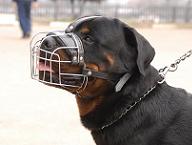 Rottweiler Wire Muzzle-Cage Basket Dog Muzzle