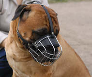Bullmastiff Wire Muzzle-Cage Basket Dog Muzzle