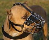PitBull Wire Muzzle-Cage Basket Dog Muzzle